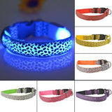 Buy 1 Get 1! - Safety Glowing Dog Collars and Leashes By Pet Lovers Club