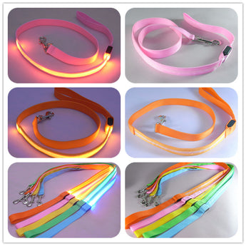 Safety Pet Leash With LED By Project Pet Lovers Club