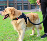 Big Dog Plaited Leash And Collar Set V2