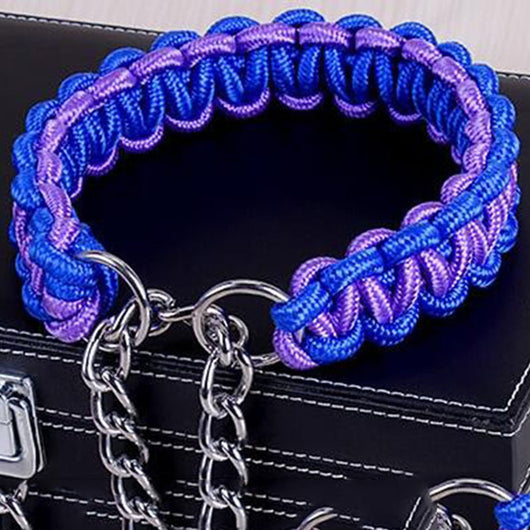 Big Dog Plaited Leash And Collar Set