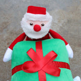 Santa Claus Dog