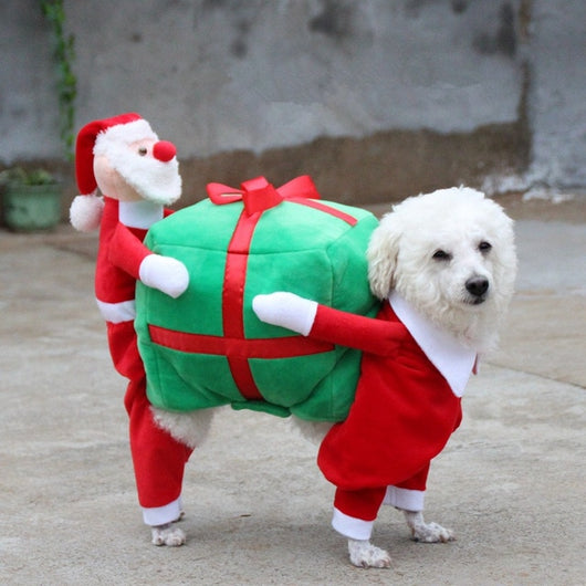 Santa Claus Dog